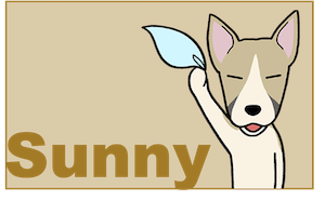 Sunny