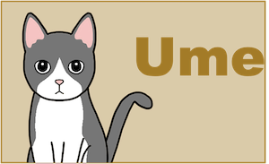 Ume